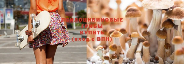 apvp Абаза