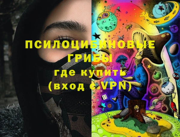 apvp Абаза
