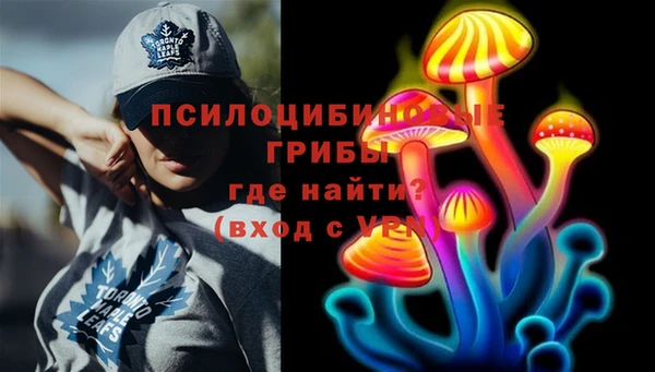 СК Абдулино