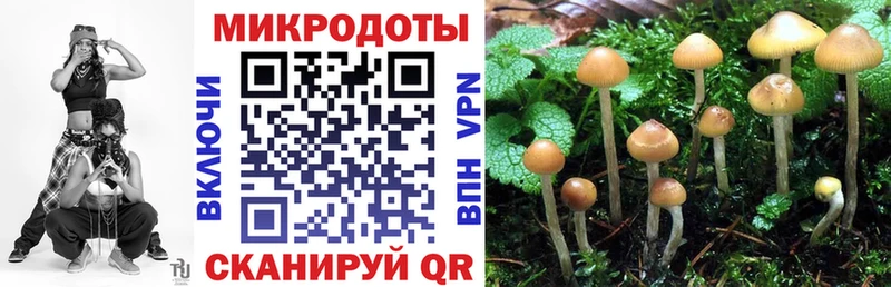 Галлюциногенные грибы мухоморы  ссылка на мегу сайт  мориарти какой сайт  Белый 